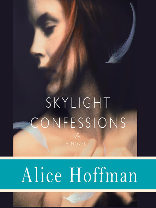 Cover image for Skylight Confessions